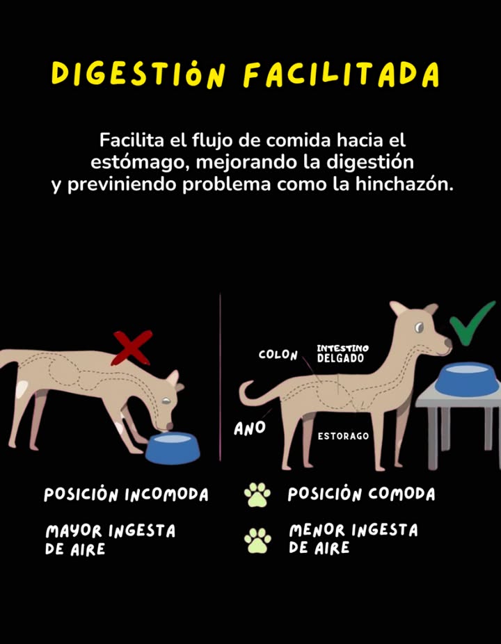 Digestión facilitada para tu perro 

Elevar el plato de comida a la altura adecuada favorece un flujo natural hacia el estómago, mejorando la digestión y reduciendo problemas como la hinchazón. Una posición cómoda disminuye la ingesta de aire, ayuda a prevenir molestias digestivas y promueve el bienestar general de tu mascota.
#DigestiónPerro #BienestarCanino #AmorPorLosPerros