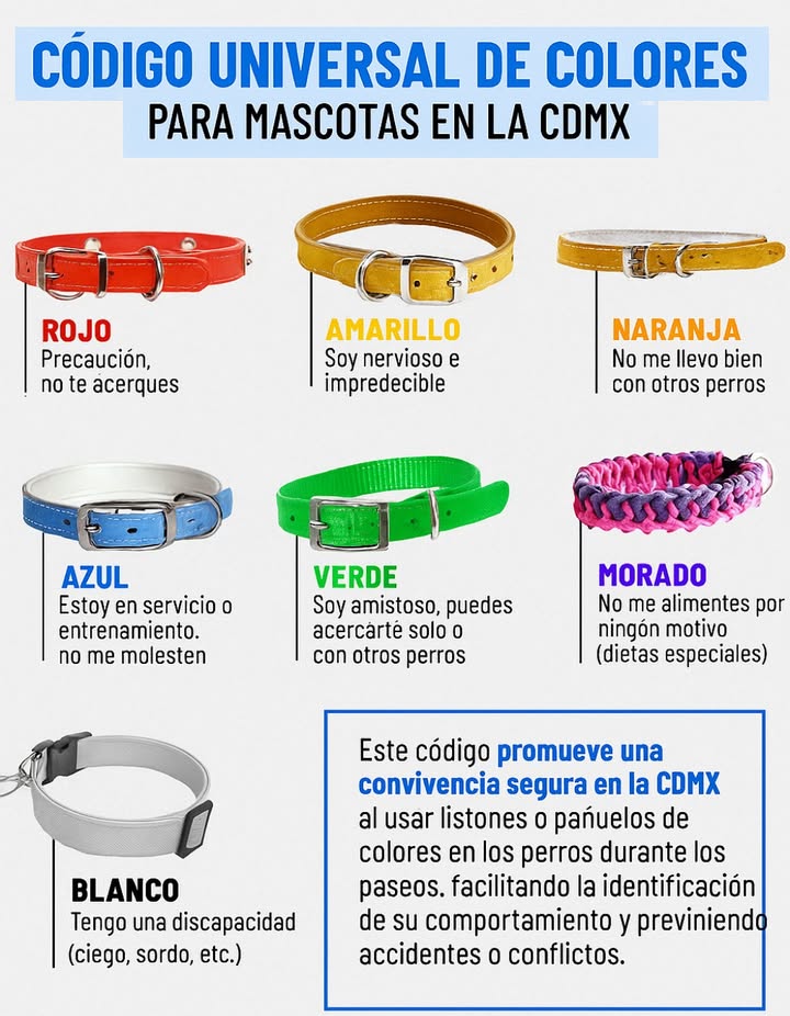Código universal de colores para mascotas en la CDMX 
Cada color en el collar o pañuelo de un perro tiene un significado que ayuda a garantizar la seguridad y una convivencia responsable:
 Rojo: Precaución, no te acerques.
 Amarillo: Soy nervioso e impredecible.
 Naranja: No me llevo bien con otros perros.
 Azul: Estoy en servicio o entrenamiento, no me molestes.
 Verde: Soy amistoso, puedes acercarte.
 Morado: No me alimentes por ningún motivo.
 Blanco: Tengo una discapacidad ciego, sordo, etc..
Este sistema promueve una convivencia segura en la ciudad al facilitar la identificación del comportamiento de las mascotas y prevenir accidentes o conflictos. 

#CódigoColoresMascotas #ColoresParaMascotas  #AmorPorLasMascotas