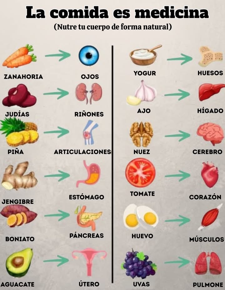 Descubre cómo los alimentos cotidianos apoyan diferentes partes de tu cuerpo: Zanahoria Apoya la salud ocular Frijoles Fortalecen los riñones Piña Alivia el dolor en las articulaciones Jengibre Calma el estómago Batata Nutre el páncreas Aguacate Apoya la salud reproductiva Yogur Fortalece los huesos Ajo Protege el hígado Nueces Alimentan tu cerebro Tomate Mejora la salud del corazón Huevos Construyen músculos fuertes Uvas Benefician los pulmones Come bien, siéntete bien: la farmacia de la naturaleza siempre está abierta.