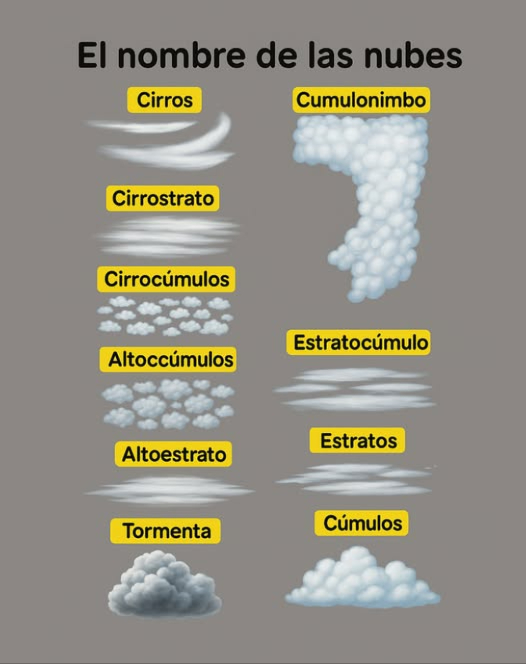 Las nubes son formaciones de gotas de agua o cristales de hielo que flotan en la atmósfera. Comprender la clasificación de las nubes es crucial para conocer su función en el sistema climático. La clasificación internacional de las nubes se basa en su altura y forma.
Tipos de Nubes
Nubes Altas  
–  Cirros : Estas son nubes altas y delgadas compuestas por cristales de hielo, situadas a más de 20,000 pies 6,000 metros de altura.  
–  Cirrostratos : Se caracterizan por ser nubes altas y uniformes que cubren todo el cielo. También están compuestas por cristales de hielo y se encuentran a más de 20,000 pies 6,000 metros.  
–  Cirrocúmulos : Estas son pequeñas nubes altas formadas por cristales de hielo, ubicadas a más de 20,000 pies 6,000 metros.  
Nubes Medias  
–  Altocúmulos : Nubes medianas y pequeñas que consisten en gotas de agua y cristales de hielo, situadas entre 6,500 y 20,000 pies 2,000 y 6,000 metros.  
–  Altoestratos : Nubes medias y uniformes que cubren el cielo completo, compuestas por gotas de agua y cristales de hielo, encontrándose entre 6,500 y 20,000 pies 2,000 y 6,000 metros.  
Nubes Bajas  
–  Estratocúmulo : Nubes bajas y uniformes que cubren todo el cielo y están formadas por gotas de agua a menos de 6,500 pies 2,000 metros.  
–  Estratos : Estas nubes bajas también son uniformes y cubren el cielo completo, compuestas por gotas de agua a menos de 6,500 pies 2,000 metros.  
–  Cúmulos : Nubes bajas y pequeñas que consisten en gotas de agua, ubicadas a menos de 6,500 pies 2,000 metros.  
Nubes Verticales  
– Tormenta: Se trata de nubes densas y verticales formadas por gotas de agua y cristales de hielo. Se encuentran a más de 10,000 pies 3,000 metros y pueden generar lluvia, granizo y rayos.  
– Cumulonimbo: Estas son nubes verticales densas que se componen tanto de gotas de agua como de cristales de hielo. Se ubican a más de 10,000 pies 3,000 metros y tienen el potencial de producir lluvia, granizo y rayos.  
 Conoce más sobre el fascinante mundo de las nubes! #Meteorología #CienciaDelClima