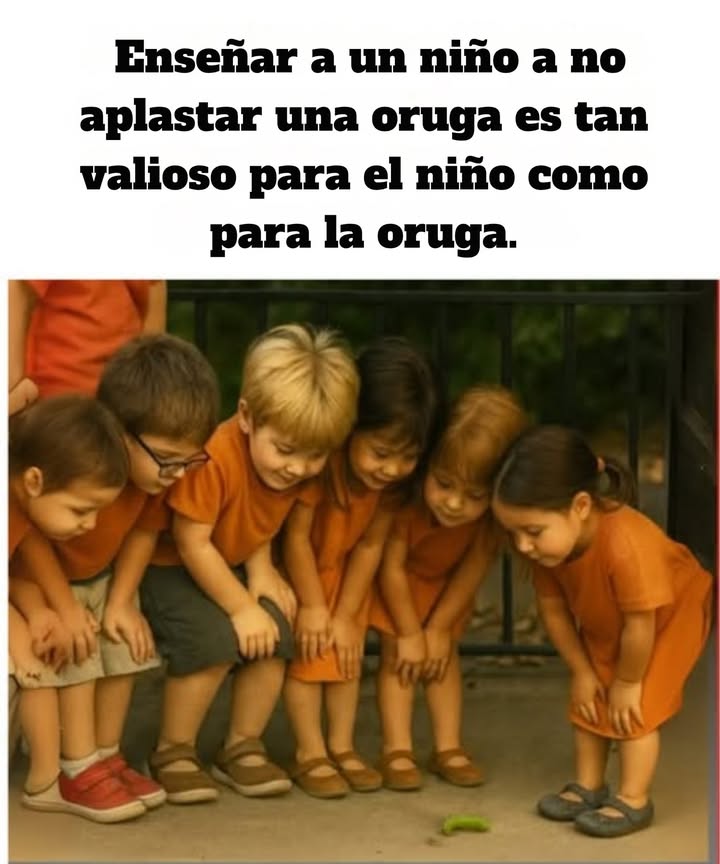 Educar en el respeto por la vida desde la infancia   
Enseñar a los niños a observar y proteger a los seres más pequeños, como las orugas, desarrolla su empatía, su sentido de responsabilidad y su conexión con la naturaleza.  
Este gesto simple despierta en ellos un profundo respeto por toda forma de vida y les hace entender el valor de cada especie en el equilibrio del ecosistema.  
 Cada pequeño gesto cuenta  
Proteger una oruga es salvar a una futura mariposa, pero también cultivar una sensibilidad que los acompañará toda su vida.  
Educar en la compasión desde una edad temprana es plantar las semillas de un mundo más consciente y benevolente. 曆  
#ÉduquerAuRespect #EducarEnElRespeto #ProtectionDeLaNature #ProtecciónDeLaNaturaleza #PrenonsSoinDesChenilles #CuidemosLasOrugas