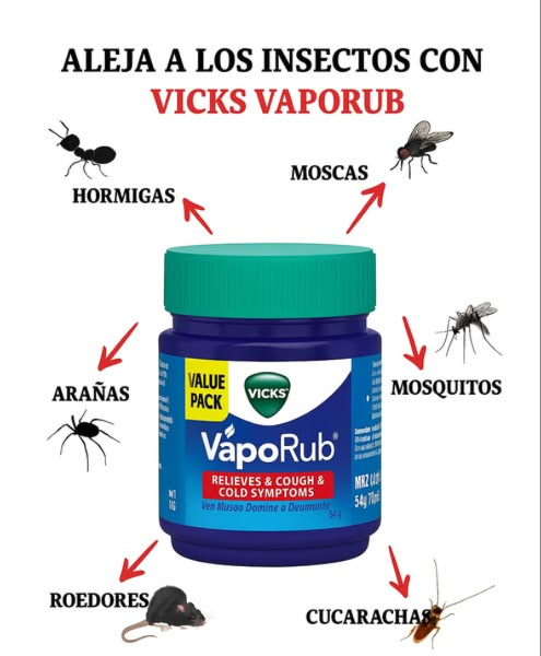 Vicks Vaporub: un repelente natural formidable contra los insectos 
烈 Mosquitos  
Aplicar en los tobillos, muñecas y detrás de las orejas. Colocar un tarro abierto debajo de la cama o cerca de las ventanas para reforzar el efecto.
練 Moscas  
Depositar un poco de Vicks sobre un paño cerca de las áreas sensibles. Opción vapor: diluir en un bol de agua caliente para difundir su aroma repelente.
 Hormigas  
Trazar una barrera en los bordes de las ventanas, grietas o alrededor de los alimentos para interrumpir su camino.
 Arañas y cucarachas  
Poner una nuez de pomada en los rincones oscuros, debajo de los muebles o cerca de los zócalos.
 Roedores  
Aplicar alrededor de conductos, armarios y puntos de entrada. El olor a menta actúa como un potente disuasivo.
 Un remedio simple, económico y sin productos químicos para una casa naturalmente protegida.