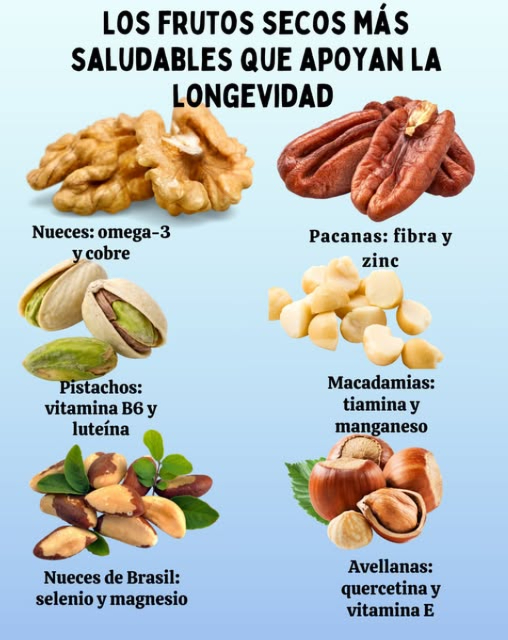 Frutos secos que apoyan la longevidad 
Nueces: ricas en omega-3 y cobre
Pacanas: fuente de fibra y zinc
Pistachos: aportan vitamina B6 y luteína
Macadamias: destacan por su tiamina y manganeso
Nueces de Brasil: muy altas en selenio y magnesio
Avellanas: contienen quercetina y vitamina E