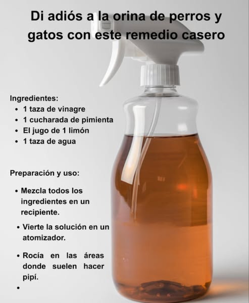 Di adiós a la orina de perros y gatos con este remedio casero  
Si deseas evitar que tus mascotas o animales callejeros orinen en ciertos lugares, prueba esta mezcla natural y efectiva. 
 Ingredientes: 
 1 taza de vinagre 
 1 cucharada de pimienta 
 El jugo de 1 limón 
 1 taza de agua 
 Preparación y uso: 
1 Mezcla todos los ingredientes en un recipiente. 
2 Vierte la solución en un atomizador.
3 Rocía en las áreas donde suelen hacer pipí. 
Este remedio es seguro y ayudará a mantener tus espacios limpios sin dañar a los animalitos.  #RemediosCaseros #Mascotas #HogarLimpio