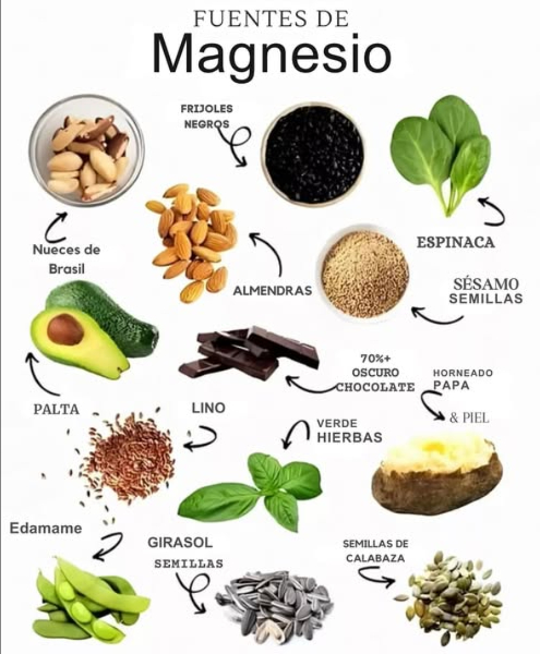 易 Te sientes cansado, estresado o con calambres musculares? Puede que estés necesitando más magnesio en tu dieta. Este mineral es esencial para la energía, el sistema nervioso, los músculos y la salud ósea. Aquí tienes una lista de alimentos ricos en magnesio que puedes incluir fácilmente en tu día a día: 陋 Aguacate Chocolate negro 70% o más Nueces de Brasil y almendras Hierbas verdes frescas Papa al horno con piel 塞 Espinaca Semillas de sésamo, girasol y calabaza 樂 Frijoles negros y edamame Semillas de linaza flaxseed El magnesio ayuda a: Relajar los músculos Combatir la ansiedad Mejorar el sueño Regular la presión arterial Mantener huesos fuertes 律 Una dieta rica en magnesio es clave para tu bienestar físico y mental! #MagnesioNatural #AlimentosSaludables #MineralesEsenciales