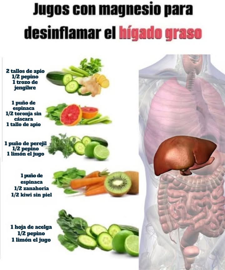 Los distintos tipos de jugos para desinflamar el hígado Sabías que el magnesio puede ser tu mejor aliado en la batalla contra el hígado graso? Este mineral no solo ayuda a equilibrar tu metabolismo, sino que también posee propiedades antiinflamatorias que pueden disminuir la inflamación en el hígado. Al respaldar la función hepática y mejorar la sensibilidad a la insulina, el magnesio se convierte en un componente esencial para cuidar de tu salud hepática.