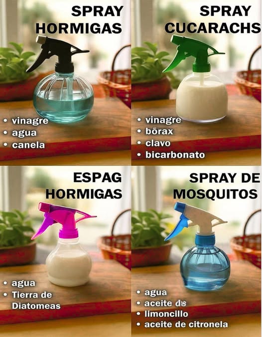 Sprays Naturales contra Plagas Di adiós a los químicos agresivos y protege tu hogar con soluciones caseras y efectivas: Spray Hormigas Vinagre Agua Canela Spray Cucarachas Vinagre Bórax Clavo Bicarbonato Spray Hormigas alternativa Agua Tierra de Diatomeas Spray de Mosquitos Agua Aceite de limoncillo Aceite de citronela Económicos, ecológicos y fáciles de preparar. Tu casa libre de plagas de forma natural. #SpraysNaturales #AdiosPlagas #PlagasFuera