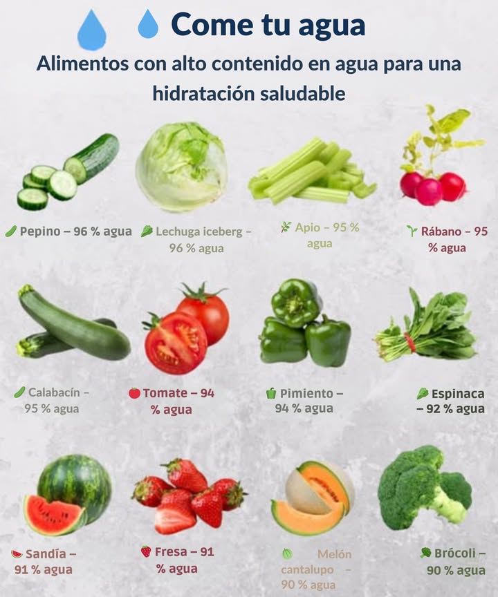 Come tu Agua  
Mantente hidratado de una manera deliciosa con estos alimentos ricos en agua!  
 Pepino y Lechuga Iceberg 96% agua  Crujientes, refrescantes y perfectos para ensaladas.  
 Apio y Rábano 95% agua  Merienda inteligente e hidratante al mismo tiempo.  
 Tomates y Pimientos 94% agua  Esenciales jugosos para cada comida.  
 Espinaca 92% agua  Un potente verde de hojas hidratante.  
 Sandía y Fresas 91% agua  Bocados dulces que sacian tu sed.  
 Melón y Brócoli 90% agua  Geniales para meriendas y guarniciones.  
 Consejo: Comer abundantes de estos alimentos puede ayudarte a sentirte energizado y fresco todo el día.
