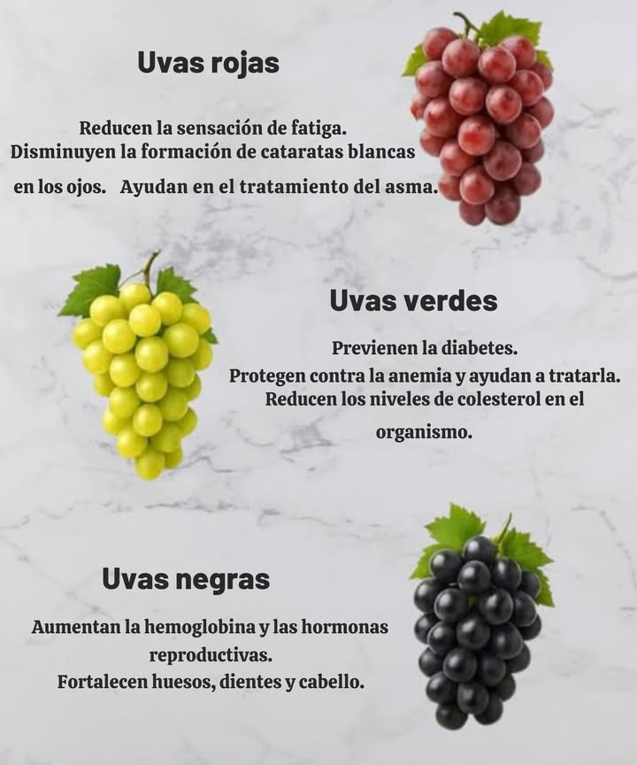 Beneficios de las Uvas Uvas rojas Reducen la fatiga Disminuyen las cataratas en los ojos Ayudan en el tratamiento del asma Uvas verdes Previenen la diabetes Protegen contra la anemia Reducen el colesterol en el organismo Uvas negras Aumentan la hemoglobina y las hormonas reproductivas Fortalecen huesos, dientes y cabello