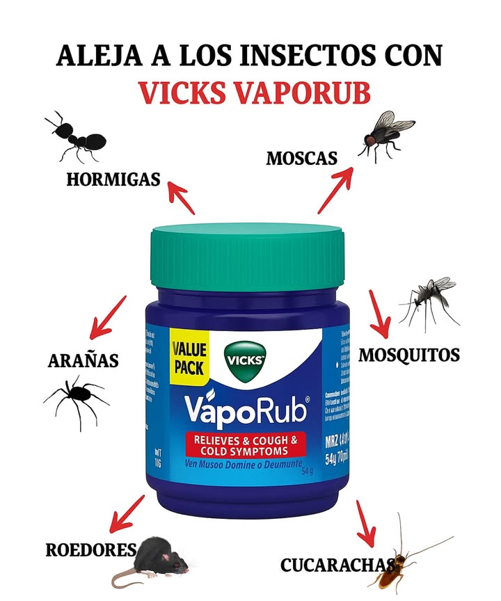 Vicks Vaporub: un repelente natural formidable contra los insectos 烈 Mosquitos Aplicar en los tobillos, muñecas y detrás de las orejas. Colocar un tarro abierto debajo de la cama o cerca de las ventanas para reforzar el efecto. 練 Moscas Depositar un poco de Vicks sobre un paño cerca de las áreas sensibles. Opción vapor: diluir en un bol de agua caliente para difundir su aroma repelente. Hormigas Trazar una barrera en los bordes de las ventanas, grietas o alrededor de los alimentos para interrumpir su camino. Arañas y cucarachas Poner una nuez de pomada en los rincones oscuros, debajo de los muebles o cerca de los zócalos. Roedores Aplicar alrededor de conductos, armarios y puntos de entrada. El olor a menta actúa como un potente disuasivo. Un remedio simple, económico y sin productos químicos para una casa naturalmente protegida.