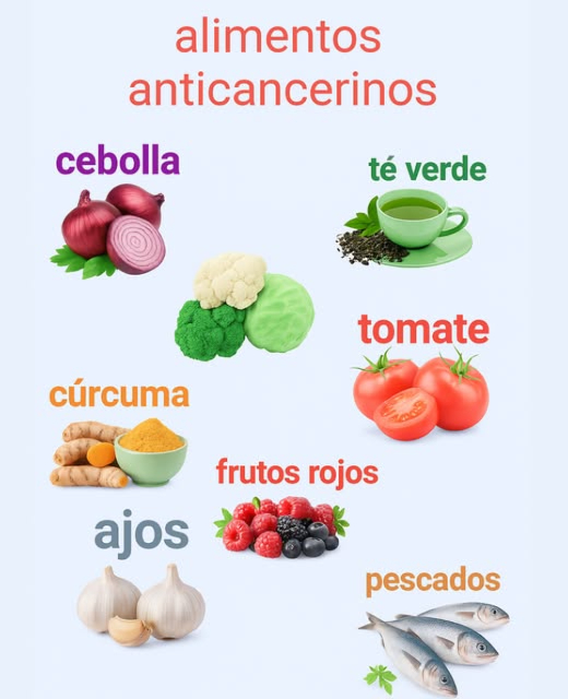 Los alimentos orgánicos con propiedades anticancerígenas han sido estudiados por su capacidad para fortalecer el sistema inmunológico, combatir la inflamación y reducir el daño celular. Aunque no son una cura milagrosa, incluyen compuestos naturales que pueden contribuir a la prevención del cáncer. Algunos de ellos son:
1 Brócoli y vegetales crucíferos: Contienen sulforafano, un compuesto que puede proteger contra el desarrollo de células cancerígenas. Otros vegetales crucíferos como la coliflor, el repollo y la col rizada también tienen beneficios similares.  
2 Cúrcuma: Su principal compuesto activo, la curcumina, tiene propiedades antiinflamatorias y antioxidantes que podrían ayudar a inhibir el crecimiento de células tumorales.  
3 Frutas rojas y moradas: Las fresas, frambuesas, moras y arándanos son ricos en antioxidantes y antocianinas, que ayudan a combatir el estrés oxidativo en las células.  
4  Ajo y cebolla:  Contienen compuestos de azufre que estimulan la desintoxicación del cuerpo y pueden frenar el crecimiento de células malignas.  
5  Tomates:  Ricos en licopeno, un antioxidante que puede ayudar a reducir el riesgo de ciertos tipos de cáncer, como el de próstata.  
6  Té verde:  Contiene catequinas, un antioxidante que puede ayudar a prevenir el daño celular.  
7  Nueces y semillas:  Las nueces, semillas de lino y semillas de chía son ricas en ácidos grasos omega-3 y otros compuestos que ayudan a reducir la inflamación y a proteger las células.  
  Consejo adicional:  Opta siempre por versiones orgánicas de estos alimentos para evitar pesticidas y químicos que podrían contrarrestar sus beneficios.