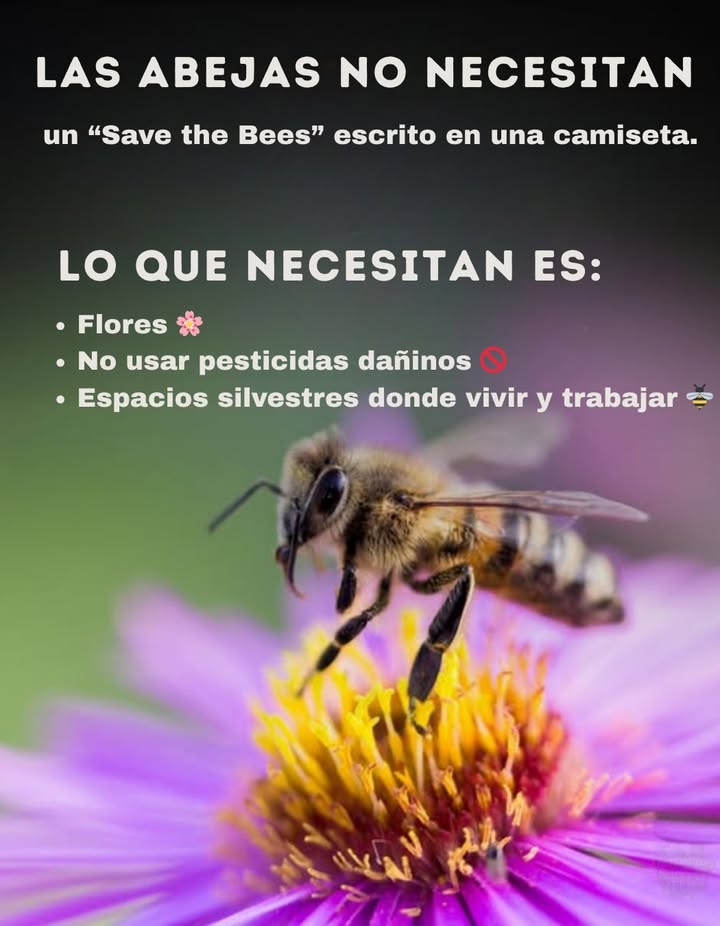 Jardinería Amigable con las Abejas = Acción, No Solo Palabras   
 Proporciona lugares de anidación seguros  
 Planta flores ricas en néctar durante todo el año  
 Evita pesticidas y químicos dañinos  
 Apoya a los polinizadores = protege nuestra cadena alimentaria  
 Un jardín amigable con las abejas significa un planeta y un futuro más saludables.