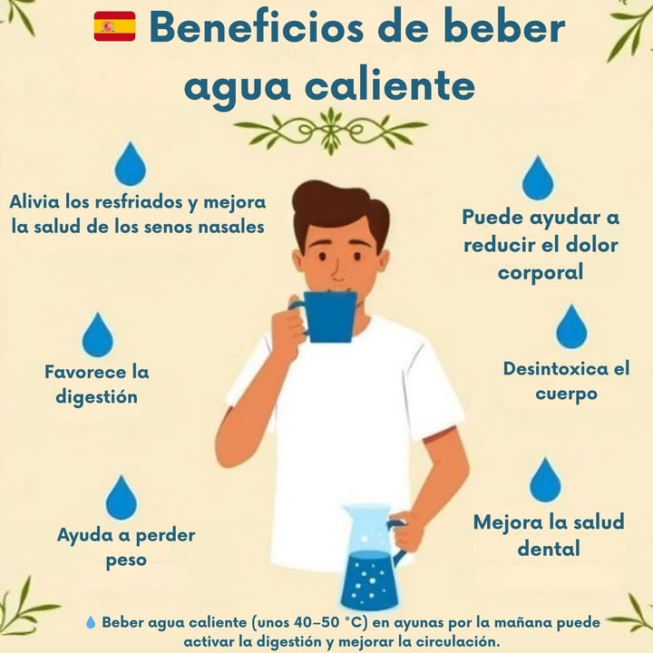 Beneficios de beber agua caliente

Beber agua caliente cada día, especialmente por la mañana, puede aportar varios beneficios para el bienestar general.

Alivia los resfriados y mejora la salud de los senos nasales.
Favorece una digestión más ligera y eficaz.
Contribuye a la pérdida de peso de forma natural.
Mejora la salud dental y la higiene bucal.
Facilita la desintoxicación del organismo.
Ayuda a reducir el dolor corporal y la tensión muscular.

El agua caliente, entre 40 C y 50 C, estimula la circulación y mantiene el cuerpo equilibrado desde el interior.