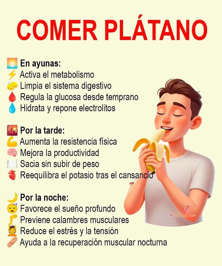 COMER PLÁTANO En ayunas Activa el metabolismo Limpia el sistema digestivo Regula la glucosa desde temprano Hidrata y repone electrolitos Por la tarde Aumenta la resistencia física Mejora la productividad Sacia sin subir de peso Reequilibra el potasio tras el cansancio Por la noche Favorece el sueño profundo Previene calambres musculares Reduce el estrés y la tensión Ayuda a la recuperación muscular nocturna
