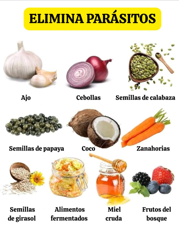 Elimina parásitos de forma natural 

Algunos alimentos y semillas poseen propiedades que ayudan al organismo a mantener un equilibrio intestinal saludable y a reducir la presencia de parásitos de manera natural.

龍 Ajo: favorece la limpieza del sistema digestivo.
暈 Cebollas: apoyan la función intestinal y fortalecen el sistema inmunitario.
 Semillas de calabaza: contienen compuestos antiparasitarios naturales.
 Semillas de papaya: ayudan a mejorar la digestión y eliminar toxinas.
便 Coco: refuerza el sistema inmunológico y combate microorganismos.
凌 Zanahorias: contribuyen a la salud intestinal y purifican el cuerpo.
 Semillas de girasol: aportan nutrientes que favorecen la desintoxicación.
塞 Alimentos fermentados: equilibran la flora intestinal.
 Miel cruda: tiene propiedades antimicrobianas y calmantes.
 Frutos del bosque: ricos en antioxidantes que fortalecen las defensas.

Un enfoque natural para cuidar tu salud desde dentro.