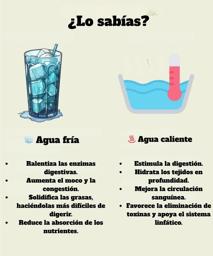 Sabías que?

 Agua fría

Ralentiza las enzimas digestivas.

Aumenta el moco y la congestión.

Solidifica las grasas, haciendo más difícil su digestión.

Dificulta la absorción de nutrientes.

 Agua caliente

Estimula la digestión.

Hidrata los tejidos en profundidad.

Mejora la circulación sanguínea.

Ayuda a eliminar toxinas y a limpiar el sistema linfático.

 Beber agua a una temperatura adecuada favorece el equilibrio del cuerpo y el bienestar digestivo.