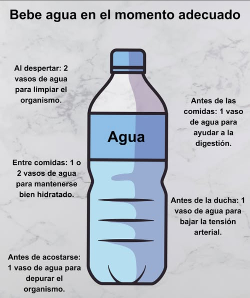 Bebe agua en el momento adecuado
 Al despertar
2 vasos de agua para limpiar el organismo
 Antes de las comidas
1 vaso de agua para ayudar a la digestión
 Antes de la ducha
1 vaso de agua para bajar la tensión arterial
磻 Entre comidas
1 o 2 vasos de agua para mantenerse bien hidratado
 Antes de acostarse
1 vaso de agua para depurar el organismo