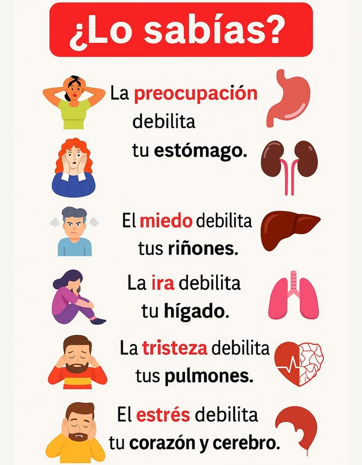 Sabías que?

Tus emociones no solo afectan tu estado de ánimo, sino que también influyen directamente en la salud de tu cuerpo.

 Preocupación  Estómago
La preocupación constante aumenta el ácido estomacal, lo que puede provocar indigestión, hinchazón o úlceras.

 Miedo  Riñones
El miedo o la ansiedad prolongados pueden alterar la función renal y agotar las reservas de energía de tu cuerpo.

 Ira  Hígado
La ira frecuente estresa el hígado, que es vital para desintoxicar tu cuerpo y mantener la sangre limpia.

 Duelo  Pulmones
La tristeza profunda puede debilitar los pulmones, dificultando la respiración y reduciendo la ingesta de oxígeno.

 Estrés  Corazón y Cerebro
El estrés crónico eleva la presión arterial, tensa el corazón y reduce la claridad mental.

 Conclusión: Manejar las emociones con atención plena, ejercicio y hábitos saludables fortalece tanto la mente como el cuerpo.