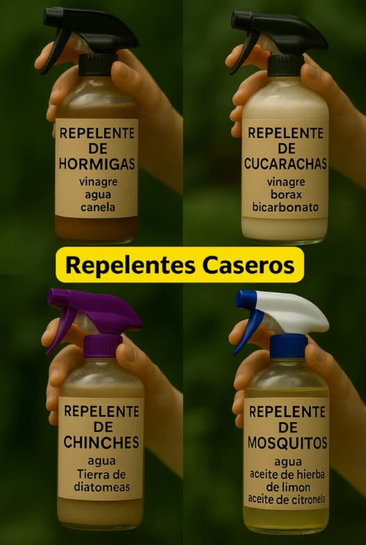 荒 Spray para hormigas: Mezcla 1 taza de vinagre, 1 taza de agua y 1 cucharadita de canela molida o 5 gotas de aceite de canela en una botella pulverizadora. Agita bien y rocía alrededor de puertas, ventanas y senderos de hormigas.
練 Spray para cucarachas: Combina 1 taza de vinagre, 1 cucharada de bórax, 10 gotas de aceite de clavo y 1 cucharada de bicarbonato de sodio en una botella pulverizadora hará efervescencia. Rocía en áreas propensas a cucarachas como debajo del fregadero.
 Spray para chinches: Mezcla 1 taza de agua con 2 cucharadas de Tierra de Diatomeas de grado alimenticio en una botella pulverizadora. Agita y rocía ligeramente los colchones, marcos de cama y bordes de alfombras. Deja secar.
烈 Spray para mosquitos: Mezcla 1 taza de agua con 10 gotas de aceite de citronela y 10 gotas de aceite de hierba limón en una botella pulverizadora. Agita antes de usar. Rocía alrededor de ventanas y patios.