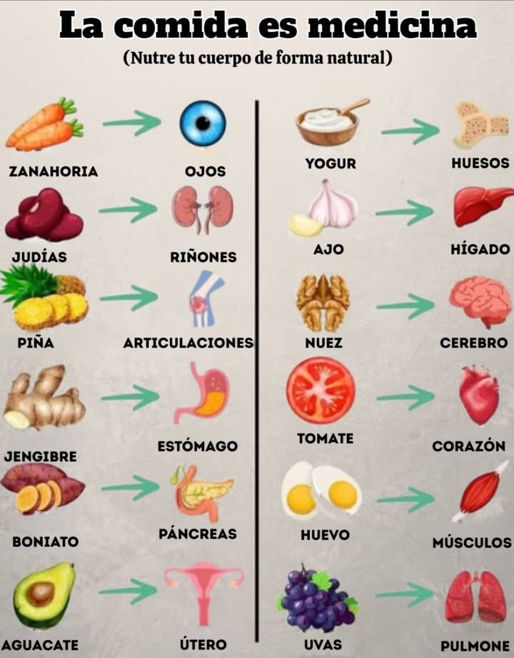 Descubre cómo los alimentos cotidianos apoyan diferentes partes de tu cuerpo:
 Zanahoria  Apoya la salud ocular
 Frijoles  Fortalecen los riñones
 Piña  Alivia el dolor en las articulaciones
 Jengibre  Calma el estómago
 Batata  Nutre el páncreas
 Aguacate  Apoya la salud reproductiva
 Yogur  Fortalece los huesos
 Ajo  Protege el hígado
 Nueces  Alimentan tu cerebro
 Tomate  Mejora la salud del corazón
 Huevos  Construyen músculos fuertes
 Uvas  Benefician los pulmones
Come bien, siéntete bien: la farmacia de la naturaleza siempre está abierta.