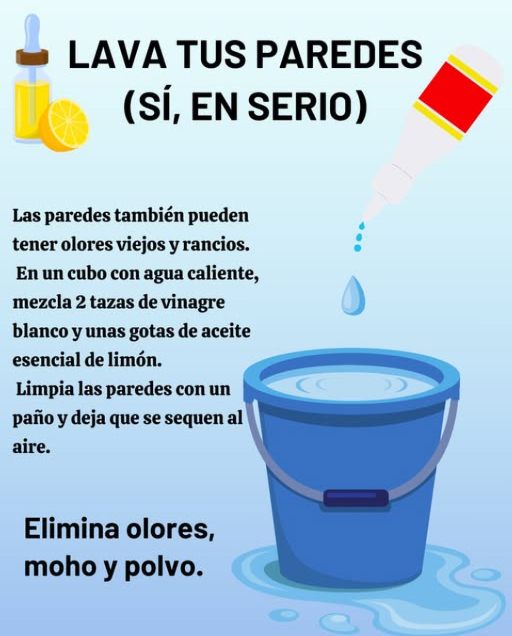 LAVA TUS PAREDES
SÍ, EN SERIO