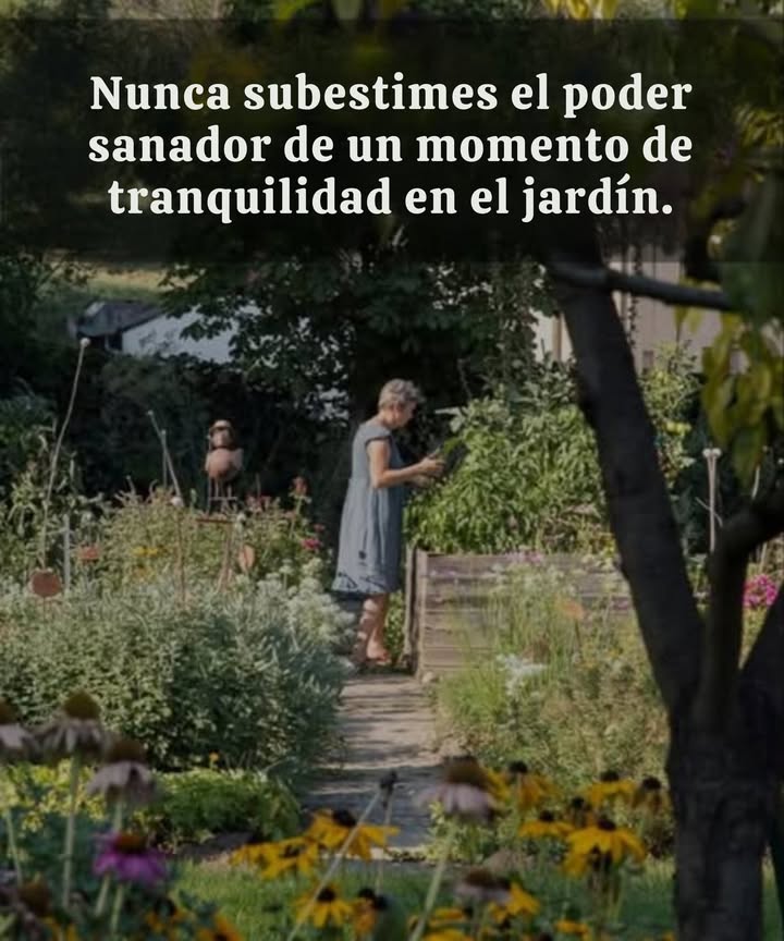 El poder terapéutico de la jardinería  
 Beneficios del tiempo pasado en el jardín  
 Reducción del estrés y la ansiedad gracias al contacto con la naturaleza  
 Estimulación de la serotonina y la dopamina, mejora del estado de ánimo  
 Cuerpo y mente activos, especialmente beneficioso para las personas mayores  
 Promoción de la atención plena a través de los colores, los aromas y las texturas  
 Por qué la jardinería es terapéutica  
 Un descanso bienvenido frente al ruido y al ritmo frenético de la vida diaria  
 Reconexión con los ciclos naturales y las estaciones  
 Sentido de responsabilidad y satisfacción al cultivar y cuidar las plantas  
 Plantas recomendadas para un jardín relajante  
 Lavanda: calmante, fragante y resistente  
 Manzanilla: tranquilizante, ideal también en infusión  
 Equinácea: decorativa y beneficiosa para el sistema inmunológico  
 Melisa y menta: refrescantes, perfectas para las infusiones de la tarde  
 Incluso un pequeño espacio verde puede convertirse en un refugio de serenidad: una maceta, una terraza llena de flores o algunas macetas en un balcón son suficientes para crear un rincón apacible.  
 Cuida tu jardín, él cuidará de ti.