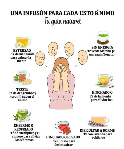 Una infusión para cada estado de ánimo: equilibrio natural y bienestar diario   
El té se adapta a tus emociones y a tu cuerpo con infusiones específicas y reconfortantes. Descubre la hierba que necesitas según tu estado de ánimo:
 Estresado  
Manzanilla o lavanda  Relajan el sistema nervioso y calman la mente
 Triste  
Jengibre con limón o menta  Estimulantes, llenos de vitaminas, dinamizan y refrescan
蠟 Enfermo o resfriado  
Canela y miel  Calentadores, antimicrobianos y suavizantes para la garganta
 Hinchado o con digestión lenta  
Menta o boldo  Alivian las pesadeces, facilitan la digestión
 Dificultad para dormir  
Pasiflora, valeriana o tilo  Calmantes, favorecen un sueño reparador
易 Falta de concentración  
Té verde con limón  Mejora la atención, activa la mente sin nerviosismo
 Cansado, sin energía  
Ginseng o té negro con especias  Revitalizan, estimulan el cuerpo y la mente suavemente
 Cada infusión es una respuesta natural a tu sentir. Prepáralas fácilmente, disfrútalas plenamente.  
#InfusionsNaturelles #InfusionesNaturales #BienÊtre #Bienestar