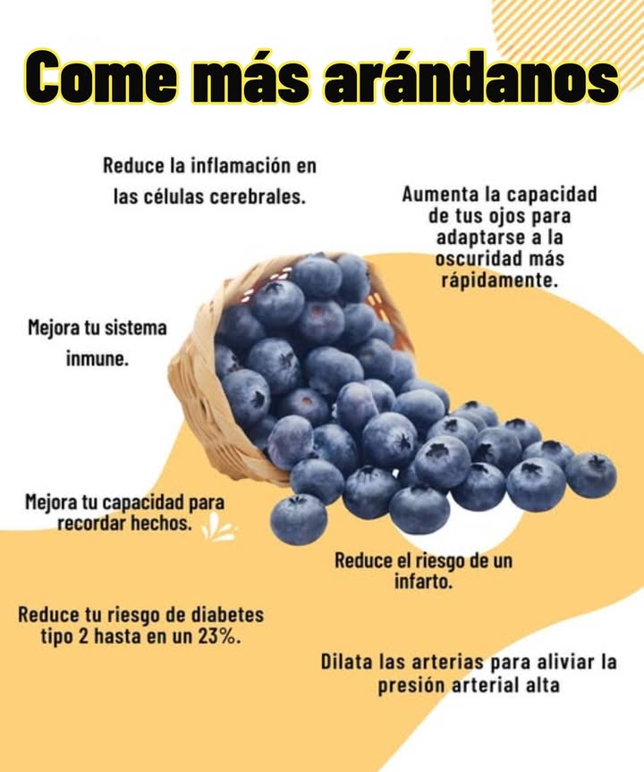 Come más arándanos