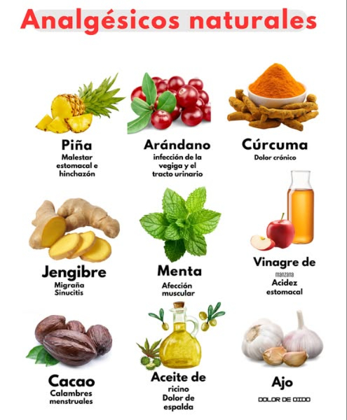 Los alimentos funcionales son aquellos que proporcionan energía y nutrientes necesarios para un estilo de vida saludable. Estos alimentos pueden ayudar a mantener un estado de bienestar óptimo y reducir el riesgo de desarrollar condiciones crónicas.
A continuación, se presenta un análisis nutricional de algunos alimentos funcionales:
 Piña:
– Calorías: 82 por 100 gramos
– Proteínas: 1,4 gramos por 100 gramos
– Grasas: 0,2 gramos por 100 gramos
– Carbohidratos: 21,6 gramos por 100 gramos
– Vitamina C: 131% del valor diario recomendado
Arándanos:
– Calorías: 57 por 100 gramos
– Proteínas: 0,7 gramos por 100 gramos
– Grasas: 0,3 gramos por 100 gramos
– Carbohidratos: 14,5 gramos por 100 gramos
– Antioxidantes: alto contenido de antioxidantes
Cúrcuma:
– Calorías: 354 por 100 gramos
– Proteínas: 9,7 gramos por 100 gramos
– Grasas: 10,3 gramos por 100 gramos
– Carbohidratos: 65,4 gramos por 100 gramos
– Curcumina: compuesto con propiedades antiinflamatorias y antioxidantes
 Jengibre:
– Calorías: 80 por 100 gramos
– Proteínas: 1,8 gramos por 100 gramos
– Grasas: 0,8 gramos por 100 gramos
– Carbohidratos: 18,1 gramos por 100 gramos
– Gingerol: compuesto con propiedades antiinflamatorias y antioxidantes
Menta:
– Calorías: 70 por 100 gramos
– Proteínas: 3,3 gramos por 100 gramos
– Grasas: 0,9 gramos por 100 gramos
– Carbohidratos: 14,9 gramos por 100 gramos
– Mentol: compuesto con propiedades refrescantes y antiinflamatorias
– Vinagre de manzana:
– Calorías: 0 por 100 gramos
– Proteínas: 0 gramos por 100 gramos
– Grasas: 0 gramos por 100 gramos
– Carbohidratos: 0,9 gramos por 100 gramos
– Ácido acético: compuesto con propiedades antibacterianas y antiinflamatorias
 Cacao:
– Calorías: 553 por 100 gramos
– Proteínas: 7,6 gramos por 100 gramos
– Grasas: 43,7 gramos por 100 gramos
– Carbohidratos: 46,4 gramos por 100 gramos
– Flavonoides: compuestos con propiedades antioxidantes y antiinflamatorias
 Aceite de oliva:
– Calorías: 884 por 100 gramos
– Proteínas: 0 gramos por 100
