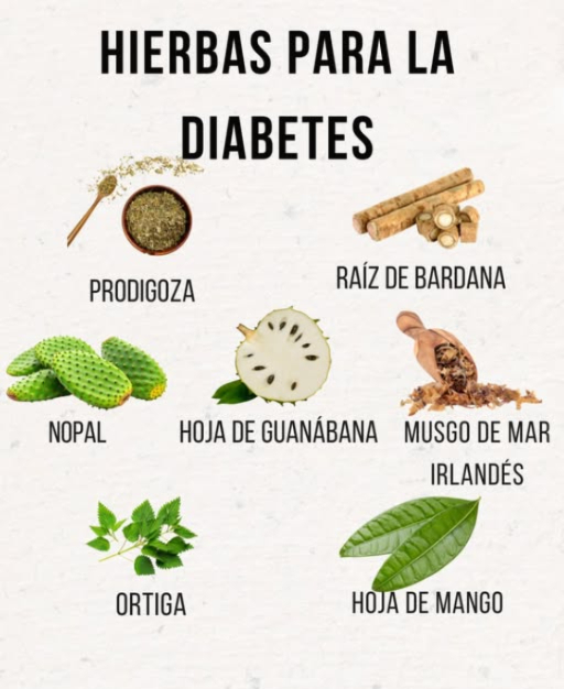 HIERBAS PARA LA DIABETES