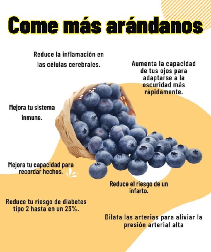 Come más arándanos