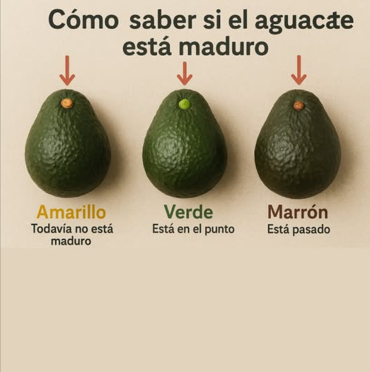Revisa el color del tallito del aguacate: te dice todo! 陋 Amarillo: El aguacate aún no está maduro. Dale unos días. Verde: Perfecto! Está en su punto para comer. Marrón: Ya está pasado. Mejor úsalo para una mascarilla o compost. Consejo útil para no fallar al elegir tu aguacate perfecto. #AguacatePerfecto #ConsejosDeCocina