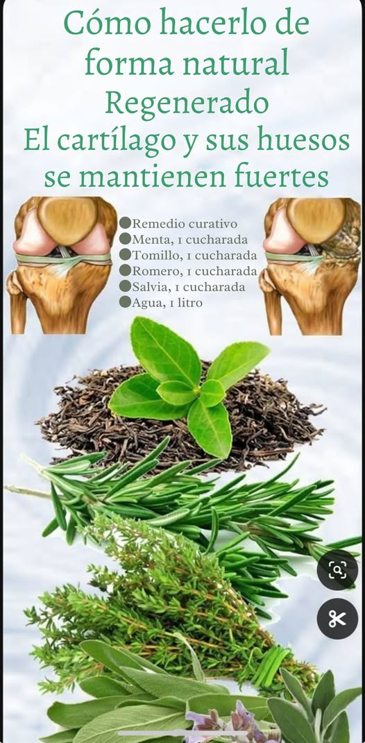 Fortalece tus huesos y regenera el cartílago de forma natural! 領 Con el paso del tiempo, nuestras articulaciones y cartílagos pueden debilitarse, causando molestias y dolor. Pero la naturaleza nos brinda poderosos remedios para fortalecerlos y mejorar su regeneración. Infusión curativa para huesos y cartílago 𥳐 Ingredientes: 1 cucharada de menta 1 cucharada de tomillo 1 cucharada de romero 1 cucharada de salvia 1 litro de agua Preparación: 1 Hierve el agua y agrega todas las hierbas. 2 Deja reposar por 10 minutos. 3 Cuela la infusión y bébela tibia. Tómala diariamente para mantener tus articulaciones saludables y fuertes. Esta combinación de hierbas ayuda a: Regenerar el cartílago y fortalecer los huesos. Reducir la inflamación y aliviar el dolor articular. Mejorar la circulación y favorecer la movilidad. Aportar antioxidantes y minerales esenciales. #SaludNatural #HuesosFuertes #CartílagoSano #Bienestar