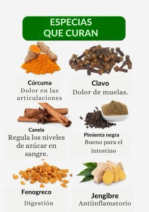Las Especias que Curan: Poder Natural para tu Salud Las especias no solo aportan sabor a nuestras comidas, sino que también son poderosos aliados para la salud. Con propiedades antiinflamatorias, digestivas y curativas, muchas de ellas han sido utilizadas durante siglos en la medicina natural. Aquí te presentamos 6 especias con increíbles beneficios terapéuticos: Cúrcuma Alivia los dolores articulares gracias a su efecto antiinflamatorio y antioxidante. Ideal para personas con artritis o problemas musculares. 醴 Clavo de olor Excelente para aliviar el dolor de dientes y molestias bucales, ya que tiene propiedades analgésicas y antibacterianas. Canela Ayuda a regular la glucosa en la sangre, siendo ideal para personas con diabetes o problemas metabólicos. Además, es un potente antioxidante. Pimienta negra Favorece la salud intestinal, mejorando la digestión y ayudando a la absorción de nutrientes esenciales. Fenogreco Conocido por sus propiedades digestivas, reduce la inflamación del sistema digestivo y favorece la asimilación de alimentos. Jengibre Un poderoso antiinflamatorio natural, ideal para fortalecer el sistema inmunológico, aliviar el dolor muscular y mejorar la circulación. Cómo Incorporarlas en Tu Vida: Agrégalas a tus infusiones, batidos o platos diarios para potenciar tu bienestar. Usa combinaciones como cúrcuma y pimienta negra para potenciar sus efectos. Opta por versiones naturales y ecológicas para obtener mayores beneficios.