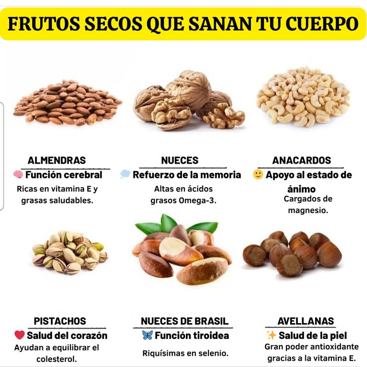 FRUTOS SECOS QUE FORTALECEN TU CUERPO 樂 Almendras Función cerebral Ricas en vitamina E y grasas saludables. Nueces Refuerzo de la memoria Fuente natural de ácidos grasos Omega-3. 便 Anacardos Apoyo al estado de ánimo Aportan magnesio, esencial para el bienestar mental. Pistachos Salud del corazón Favorecen el equilibrio del colesterol y la circulación. Nueces de Brasil Función tiroidea Riquísimas en selenio, mineral clave para el metabolismo. Avellanas Salud de la piel Su vitamina E actúa como potente antioxidante natural. Consejo saludable: Incorporar una pequeña porción 2030 g al día de frutos secos naturales sin sal ni azúcar ayuda a mantener el cuerpo nutrido y lleno de energía.