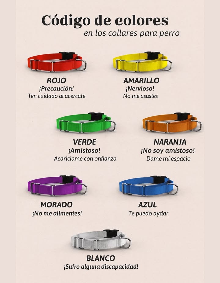 Código de colores en los collares para perro 

Cada color comunica información importante sobre el comportamiento y las necesidades del perro:

 Rojo  Precaución: Ten cuidado al acercarte, puede ser territorial o reactivo.
 Amarillo  Nervioso: No lo asustes, necesita un acercamiento suave y tranquilo.
 Verde  Amistoso: Se siente cómodo con las personas, puedes acariciarlo con confianza.
 Naranja  No amistoso: Prefiere su espacio personal, no intentes acercarte demasiado.
 Morado  No me alimentes: Tiene dieta especial o problemas de salud, no le des comida.
 Azul  Entrenado: Puede ayudar en diversas tareas, es un perro de asistencia o en formación.
 Blanco  Discapacidad: Tiene alguna discapacidad y necesita atención especial.

Este sistema de colores ayuda a comprender y respetar a cada perro, mejorando la seguridad y el bienestar de todos.