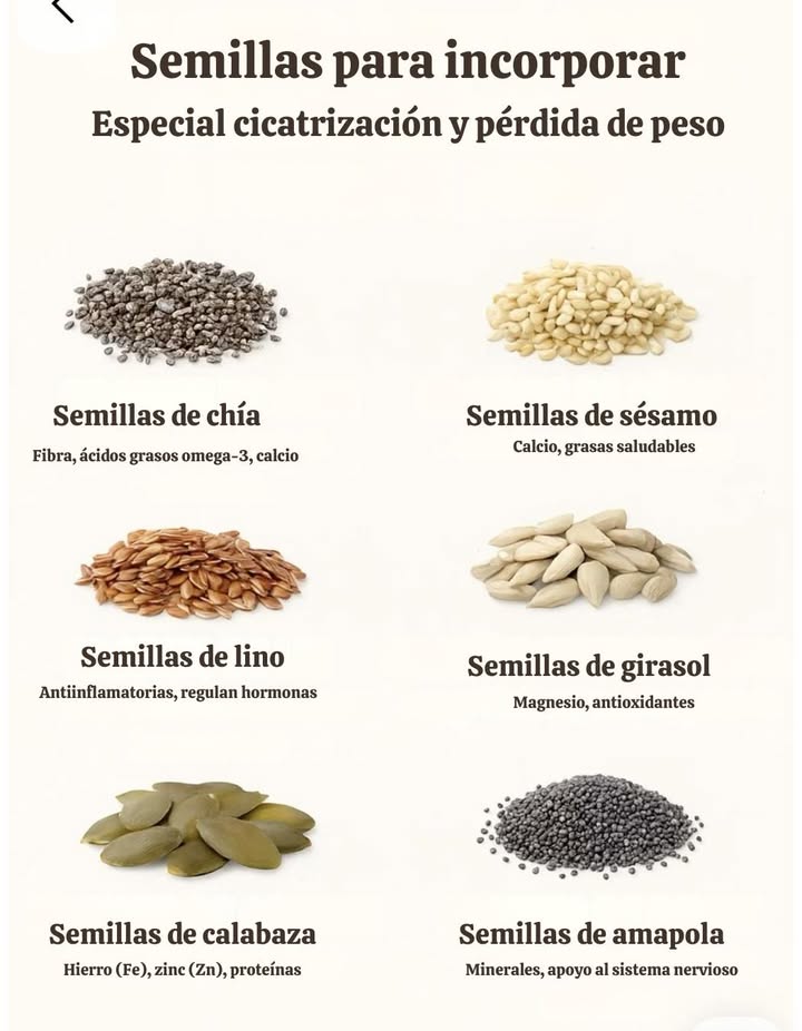 Semillas para incorporar en la alimentación diaria Especial cicatrización y pérdida de peso Las semillas son fuentes concentradas de nutrientes esenciales y compuestos bioactivos que pueden apoyar la salud metabólica, la regeneración celular y el control del peso corporal. Su inclusión en la dieta aporta fibra, minerales, proteínas y ácidos grasos saludables con respaldo científico. Semillas de chía Aportan fibra soluble, que contribuye a la saciedad y regula el tránsito intestinal. Ricas en ácidos grasos omega-3 de origen vegetal, favorecen la salud cardiovascular y aportan calcio biodisponible. Semillas de sésamo Contienen calcio en alta proporción y grasas insaturadas beneficiosas para la salud ósea y el equilibrio lipídico. También aportan lignanos con acción antioxidante. Semillas de lino Ricas en ácidos grasos alfa-linolénico y en lignanos, compuestos con propiedades antiinflamatorias y reguladoras de la actividad hormonal. Favorecen la salud digestiva gracias a su contenido en mucílagos. Semillas de girasol Fuente de magnesio, fundamental para el funcionamiento muscular y nervioso. Destacan por su aporte de vitamina E, un antioxidante que protege frente al daño oxidativo. Semillas de calabaza Aportan hierro Fe y zinc Zn, minerales clave para la función inmune y la producción de energía. Su contenido en proteínas de calidad vegetal contribuye a la reparación y regeneración de tejidos. Semillas de amapola Concentradas en minerales como calcio, fósforo y magnesio. Ofrecen apoyo al sistema nervioso y ayudan a mantener el equilibrio mineral en procesos de recuperación y cicatrización. Recomendación práctica: Incorporar pequeñas cantidades 12 cucharadas soperas, 1020 g aprox. en ensaladas, yogures, batidos o panes integrales, para aprovechar sus beneficios nutricionales sin exceder en calorías.