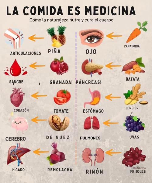 La comida es medicina: cómo la naturaleza nutre y sana Piña: Reduce la inflamación y alivia el dolor articular. Granada: Aumenta el flujo sanguíneo y protege los glóbulos rojos. Tomate: Rico en nutrientes para un corazón más sano. 易 Nueces: Ricas en omega-3 para una mejor memoria y concentración. Remolacha: Desintoxica el hígado y mejora la circulación. 凌 Zanahoria: Beta-caroteno para una visión aguda. Batata: Regula la glucemia y favorece la digestión. Jengibre: Calma las náuseas y apoya la digestión. Uva: Protege los pulmones de las toxinas. 齃 Frijoles rojos: Apoyan la salud de los riñones con fibra y minerales. Abraza la sanación de la naturaleza!