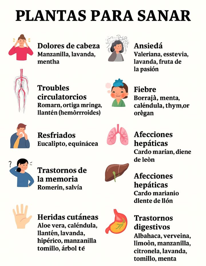 Plantas para sanar de forma natural Dolor de cabeza Manzanilla, lavanda, menta, melisa Ansiedad Valeriana, stevia, lavanda, fruta de la pasión Trastornos circulatorios Romero, ortiga, moringa, llantén hemorroides Fiebre Borraja, menta, caléndula, tomillo, orégano Resfriados Eucalipto, equinácea, orégano, llantén, tomillo Afecciones respiratorias Eucalipto, llantén, romero, tomillo, lavanda, ortiga, salvia, borraja Trastornos de la memoria Romero, salvia Afecciones hepáticas Cardo mariano, diente de león, boldo Heridas cutáneas Aloe vera, caléndula, llantén, lavanda, hipérico, manzanilla, tomillo, árbol de té Trastornos digestivos Albahaca, verbena de limón, manzanilla, citronela, lavanda, laurel, tomillo, menta