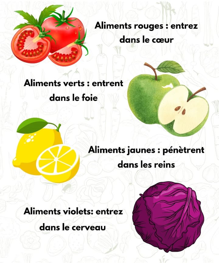 Les couleurs dans ton assiette = énergie pour ton corps 
1 Aliments rouges 
Riches en lycopène et polyphénols, ils soutiennent le cœur, améliorent la circulation et réduisent le mauvais cholestérol.
2 Aliments verts 塞
Avec le chlorophylle et les antioxydants, ils aident le foie à se détoxifier, renforcent limmunité et stimulent le renouvellement cellulaire.
3 Aliments jaunes 
Sources de vitamine C, ils protègent les reins, combattent les inflammations et maintiennent léquilibre des liquides dans le corps.
4 Aliments violets 
Chargés en anthocyanines, ils protègent le cerveau, améliorent la mémoire et réduisent les risques de maladies liées à lâge.
#bienmanger