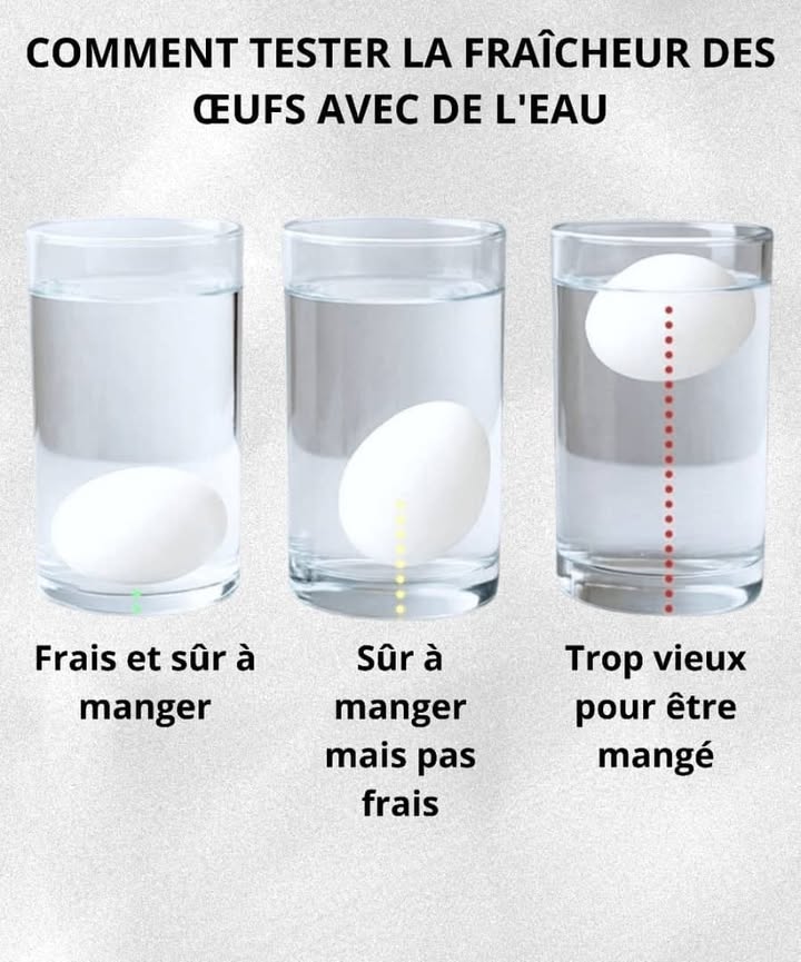 讀 Test de Fraîcheur des Œufs 
Voici une méthode simple pour vérifier si vos œufs sont encore frais et sûrs à manger. Il vous suffit dun verre deau et de quelques minutes.
1 Remplissez un verre avec de leau froide jusquà la moitié 
2 Déposez délicatement lœuf dans leau 讀
3 Si lœuf coule au fond et reste à plat, cest un œuf très frais et totalement sûr à consommer 
4 Si lœuf se redresse un peu mais reste au fond, il est encore bon à manger, bien quil soit moins frais 
5 Si lœuf flotte à la surface, cela signifie quil est trop vieux et quil ne faut pas le consommer 
Ce test vous permet de ne jamais avoir de mauvaises surprises et de garder vos œufs dans leur meilleur état.
#fblifestyle