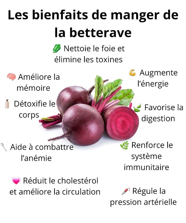 Les bienfaits de la betterave au quotidien 
Manger de la betterave apporte un vrai coup de pouce naturel au corps. Sa couleur vive nest pas la seule chose qui attire, elle cache aussi une grande richesse nutritionnelle idéale pour rester en forme.
Ingrédients nutritifs de la betterave
Betterave rouge 塞
Fibres naturelles 
Antioxydants 
Vitamines A, B, C 
Minéraux comme le fer et le potassium 籠
1 Améliore la mémoire grâce à ses nutriments qui stimulent le cerveau
2 Nettoie le foie et aide à éliminer les toxines
3 Favorise la digestion grâce à sa richesse en fibres
4 Aide à combattre lanémie grâce au fer naturel
5 Augmente lénergie en soutenant la circulation sanguine
6 Renforce le système immunitaire
7 Régule la pression artérielle
8 Réduit le cholestérol et améliore la circulation
Une petite portion de betterave régulièrement peut réellement transformer la santé au fil du temps.
#betteravebienfaits