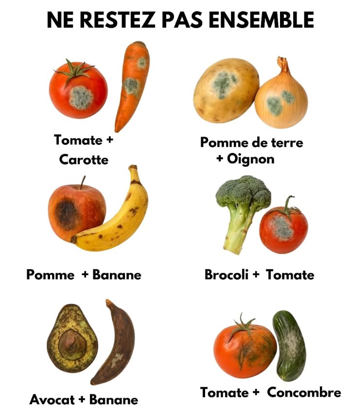 Ne Gardez Pas Ces Aliments Ensemble 
1 Tomate  Carotte 凌
La tomate libère de léthylène, accélérant la maturation de la carotte et réduisant sa durée de conservation.
2 Pomme de Terre  Oignon 凜暈
Loignon dégage un gaz qui peut accélérer la germination des pommes de terre, altérant leur qualité.
3 Pomme  Banane 
Les deux fruits libèrent de léthylène, ce qui peut entraîner une maturation excessive et une détérioration rapide.
4 Brocoli  Tomate 復
La tomate peut réduire la durée de vie du brocoli, le faisant se faner plus rapidement.
5 Avocat  Banane 陋
Les deux libèrent de léthylène, ce qui peut rendre lavocat trop mou.
6 Tomate  Concombre 勒
Ces deux aliments peuvent accélérer le processus de maturation, altérant leur fraîcheur.
 En stockant correctement vos aliments, vous pouvez prolonger leur qualité et leur fraîcheur.
#conseilsdeconservation  #alimentsfrais