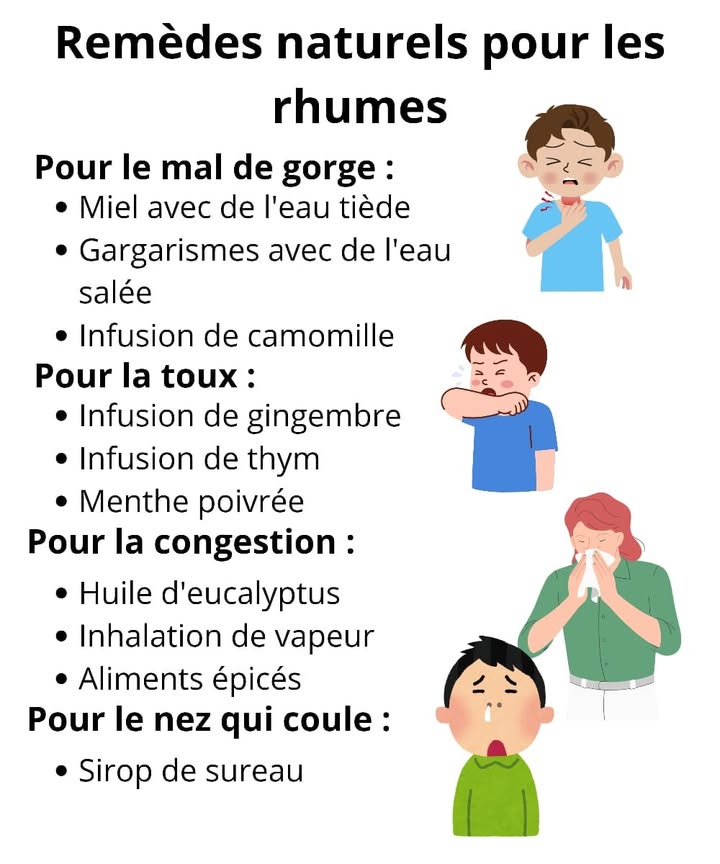 Remèdes naturels pour soulager les symptômes du rhume 

Symptômes fréquents :
1 Mal de gorge : irritation et difficulté à avaler.
2 Toux : sèche ou productive.
3 Congestion nasale : nez bouché.
4 Écoulement nasal : mécanisme délimination naturel.
5 Fatigue : résultat de leffort du corps pour lutter contre linfection.

Pour apaiser le mal de gorge :
1 Eau tiède au miel 
2 Gargarisme à leau salée 蓼  c. à café de sel dans un verre deau tiède
3 Infusion de camomille 

Pour atténuer la toux :
1 Thé au gingembre  faire bouillir 15 min
2 Infusion de thym 
3 Menthe  en tisane ou inhalation

Pour dégager le nez :
1 Inhalation deucalyptus 
2 Vapeurs chaudes 
3 Aliments épicés 

Pour accompagner lécoulement nasal :
1 Sirop de sureau 
2 Lait au curcuma 六

Pour réduire la fatigue :
1 Thé au ginseng 
2 Alimentation équilibrée 
3 Bonne hydratation 

Prévention :
1 Aliments riches en nutriments agrumes, ail, gingembre 
2 Vitamines C, D et zinc 
3 Mode de vie sain : sommeil, relaxation, activité physique 律

 Des gestes naturels qui aident à mieux traverser un rhume.
