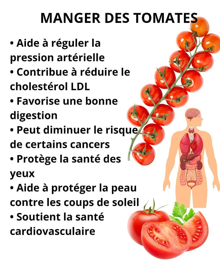 Manger des tomates Un aliment simple qui apporte fraîcheur et équilibre au quotidien. Les tomates offrent une nutrition légère qui soutient plusieurs fonctions importantes du corps. 綾 Bienfaits des tomates Aide à réguler la pression artérielle Contribue à réduire le cholestérol LDL Favorise une bonne digestion Peut réduire le risque de certains cancers Protège la santé des yeux Aide à protéger la peau des rayons du soleil Soutient la santé cardiovasculaire Ingrédient principal Tomates fraîches Étapes pour en profiter au quotidien 1 Laver et couper des tomates mûres 2 Ajouter dans les salades, sandwichs ou plats chauds 3 Assaisonner légèrement pour préserver leur valeur nutritive
