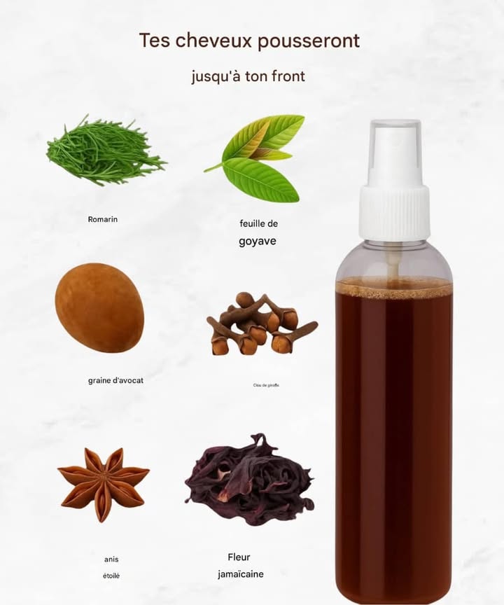 Tonic Naturel pour la Pousse des Cheveux 1 Alecrim stimule la circulation du cuir chevelu et fortifie les cheveux 2 Feuille de goyave aide à réduire la chute et améliore la résistance 3 Graine davocat apporte des nutriments qui hydratent en profondeur 陋 4 Clou de girofle possède des propriétés antifongiques et favorise la pousse 5 Anis étoilé renforce la racine et donne un éclat naturel 6 Fleur dhibiscus riche en antioxydants, combat les pellicules et revitalise le cuir chevelu