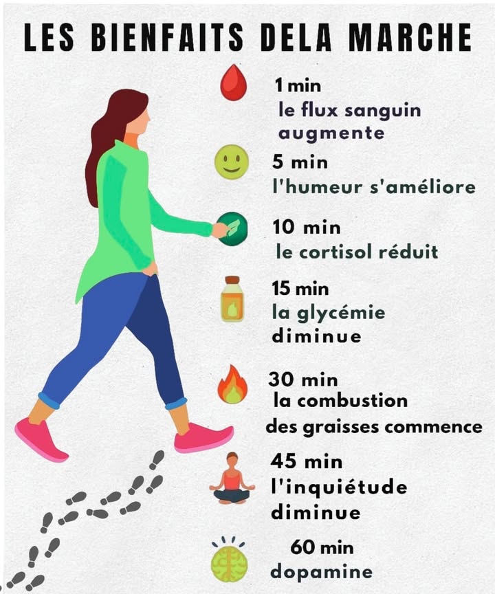 Bienfaits de la Marche Quotidienne 1 Après 1 minute la circulation sanguine sactive et le corps se réveille. 2 En 5 minutes lhumeur sélève, le stress commence à diminuer. 3 À 10 minutes le taux de cortisol baisse, apportant calme et équilibre. 4 En 15 minutes le sucre dans le sang se régule naturellement. 5 Après 30 minutes la combustion des graisses commence. 6 À 45 minutes lesprit se détend, la concentration saméliore. 7 En 60 minutes la dopamine augmente, procurant bien-être et légèreté. Marcher chaque jour, cest un geste simple et gratuit qui nourrit à la fois le corps et lesprit. #fblifestyletyle #santenaturelle #MarcheQuotidienne