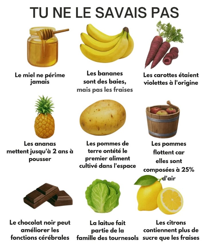 Faits surprenants sur les aliments 凌
1 Le miel ne se périme jamais 
2 Les bananes sont des baies, mais pas les fraises 
3 Les carottes étaient violettes à lorigine 凌
4 Les ananas mettent jusquà 2 ans à pousser 
5 Les pommes de terre ont été le premier aliment cultivé dans lespace 凜
6 Les pommes flottent car elles contiennent 25 % dair 
7 Le chocolat noir améliore les fonctions cérébrales 易
8 La laitue appartient à la famille des tournesols 塞
9 Les citrons sont plus sucrés que les fraises 
 La nature est pleine de surprises, chaque fruit et légume a son histoire cachée ! 
#alimentationnaturelle  #fblifestyle