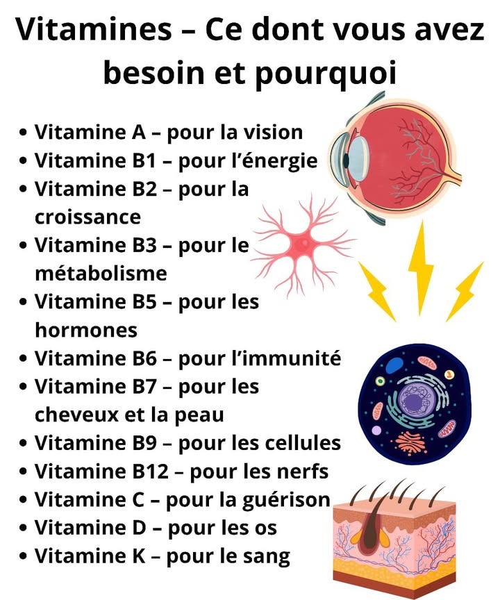 Guide Simple des Vitamines Pour le Corps 
Chaque vitamine joue un rôle précis pour garder le corps en forme. Voici une version claire et facile à lire, parfaite pour le quotidien.
Ingrédients santé avec emojis à droite
Vitamine A  soutien des yeux 
Vitamine B1  boost dénergie 
Vitamine B2  aide à la croissance 
Vitamine B3  soutien du métabolisme 
Vitamine B5  équilibre hormonal 溺
Vitamine B6  défense immunitaire 
Vitamine B7  beauté des cheveux et de la peau 
Vitamine B9  formation des cellules 匿
Vitamine B12  fonctionnement des nerfs 
Vitamine C  réparation et guérison 
Vitamine D  solidité des os 領
Vitamine K  santé du sang 
1 Intégrer différentes sources de vitamines chaque jour
2 Manger varié pour couvrir tous les besoins
3 Privilégier fruits, légumes, grains entiers et noix
4 Prendre lhabitude dinclure des aliments riches en nutriments
5 Maintenir une routine alimentaire qui soutient le corps
#bienetre #santeauquotidien