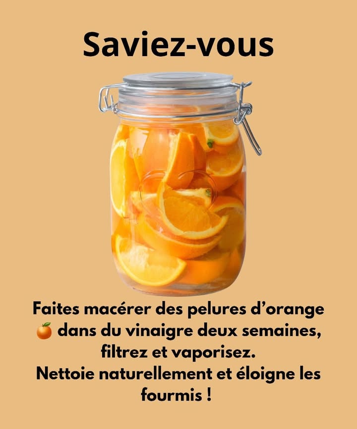 Nettoyant naturel aux pelures dorange 
Ingrédients 
 Pelures dorange 
 Vinaigre blanc 林
1 Place les pelures dorange dans un bocal propre.
2 Verse le vinaigre jusquà couvrir les pelures.
3 Laisse macérer pendant deux semaines à température ambiante.
4 Filtre le mélange et verse-le dans un vaporisateur.
5 Utilise sur les surfaces pour nettoyer et éloigner les fourmis naturellement.
 Simple, écologique et parfumé à lorange fraîche.
#maisonnaturelle #astuceverte